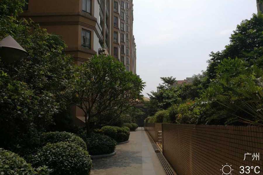 广州市增城区新塘镇翡翠绿洲森林半岛街31号